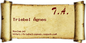 Triebel Ágnes névjegykártya