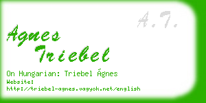 agnes triebel business card